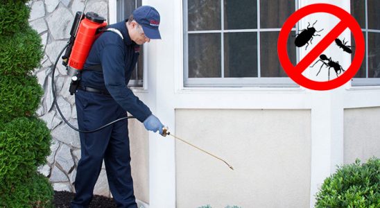 Arnavutköy Fare İlaçlama böcek ilaçlama ve haşere kontrolü — ilaclama-tr.com